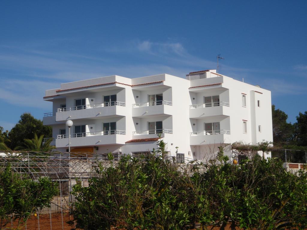 Sunset Oasis Ibiza Adults Only - New Rooms 2025 샌안토니오 외부 사진